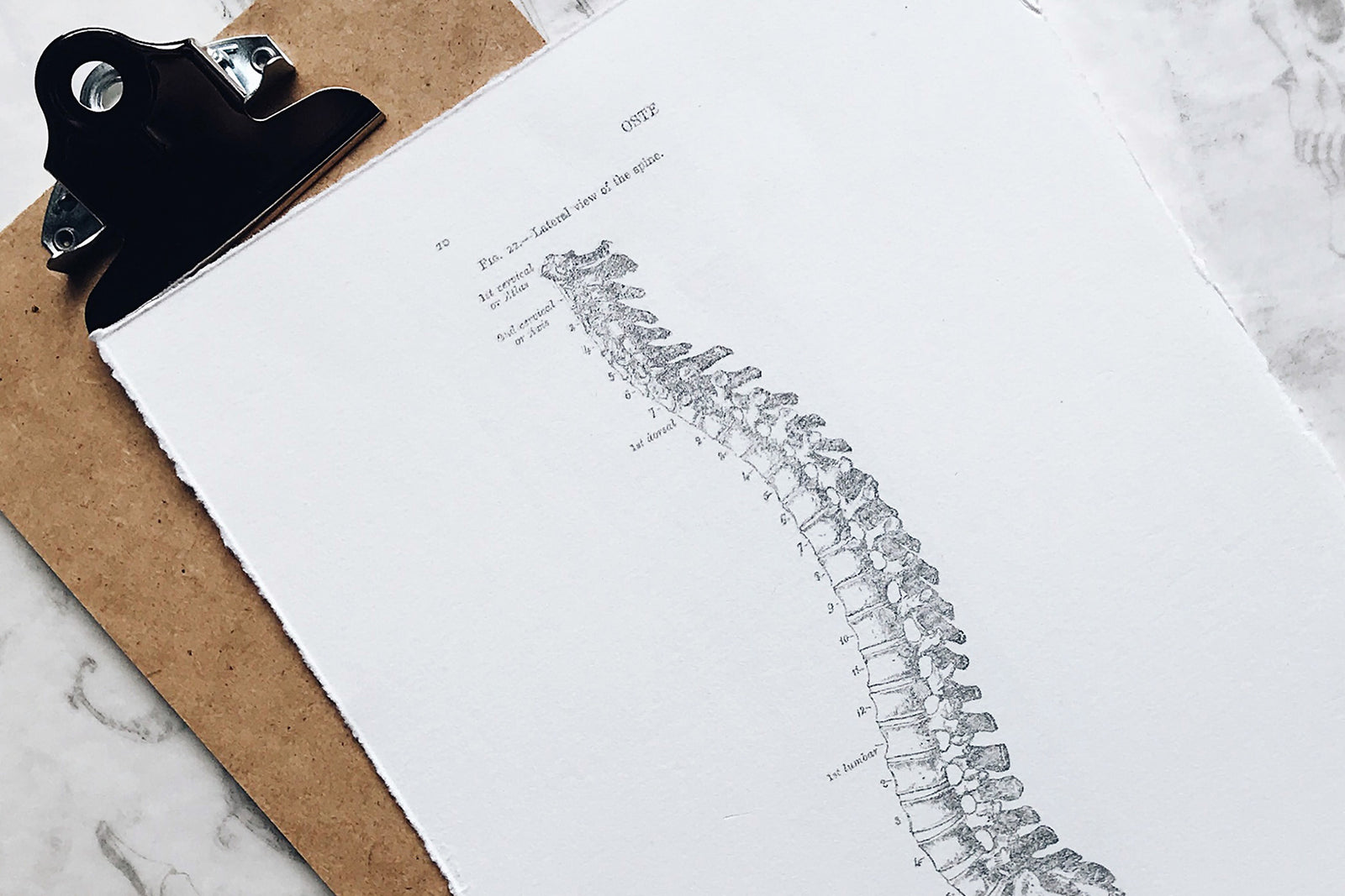 Is Your Posture Ageing you?